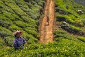 090 Munnar